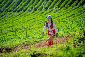 BIB: 1136
                            <button type="button" onclick="openModal(19162605)" class="btn btn-primary btn-sm float-right btn-popup" data-toggle="modal" data-target=".modal-high-quality">
                        <i class="fas fa-shopping-cart"></i> Add to Cart
                    </button>
                                            <button type="button" onclick="isThisMe(19162605, true)" class="btn btn-success btn-sm float-right btn-popup btn-isme hidden" data-toggle="tooltip" data-placement="bottom" title="นี่คือรูปของคุณใช่ไหม คลิกที่นี่เพื่อเอาเข้าอัลบั้ม">
                        <i class="fas fa-plus"></i> Add to album
                    </button>
                    <button type="button" onclick="isThisMe(19162605, false)" class="btn btn-warning btn-sm float-right btn-popup btn-isnotme hidden">
                        <i class="fas fa-ban"></i> Remove from album
                    </button>